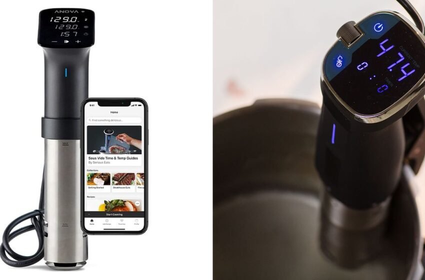 4 Best Sous Vide Cookers of 2023, According to Experts