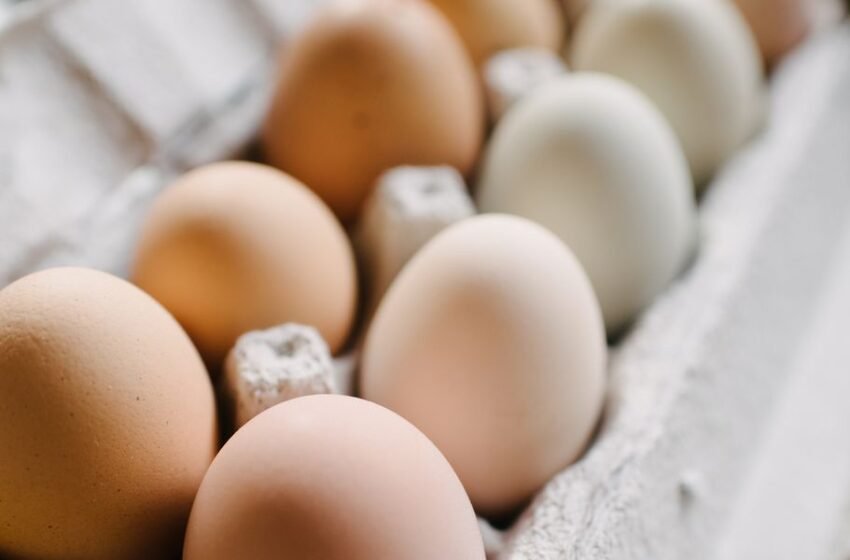 How To Tell If An Egg Is Good To Eat — Do Eggs Go Bad?