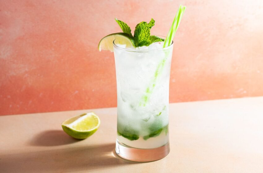 Vodka Mojito Cocktail Recipe