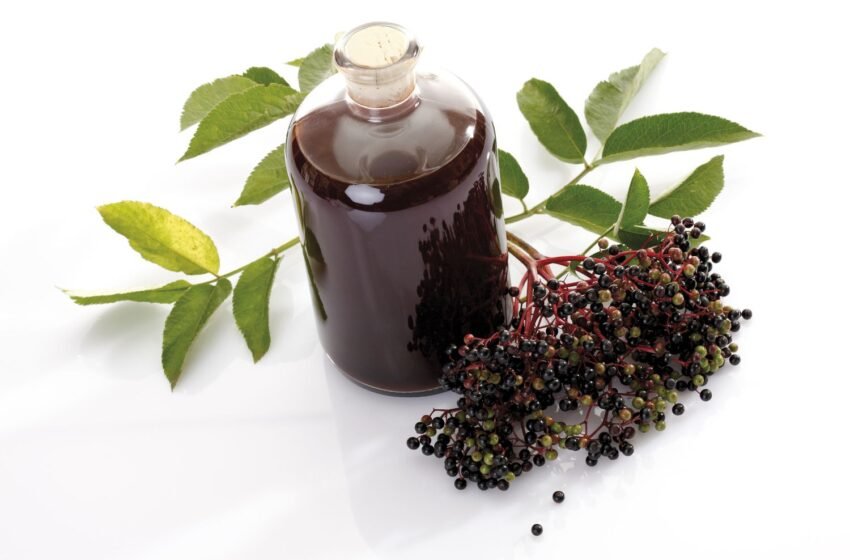 What Is Elderberry Wine?